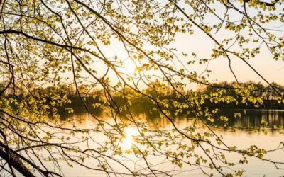 Why Estate Planning is Important