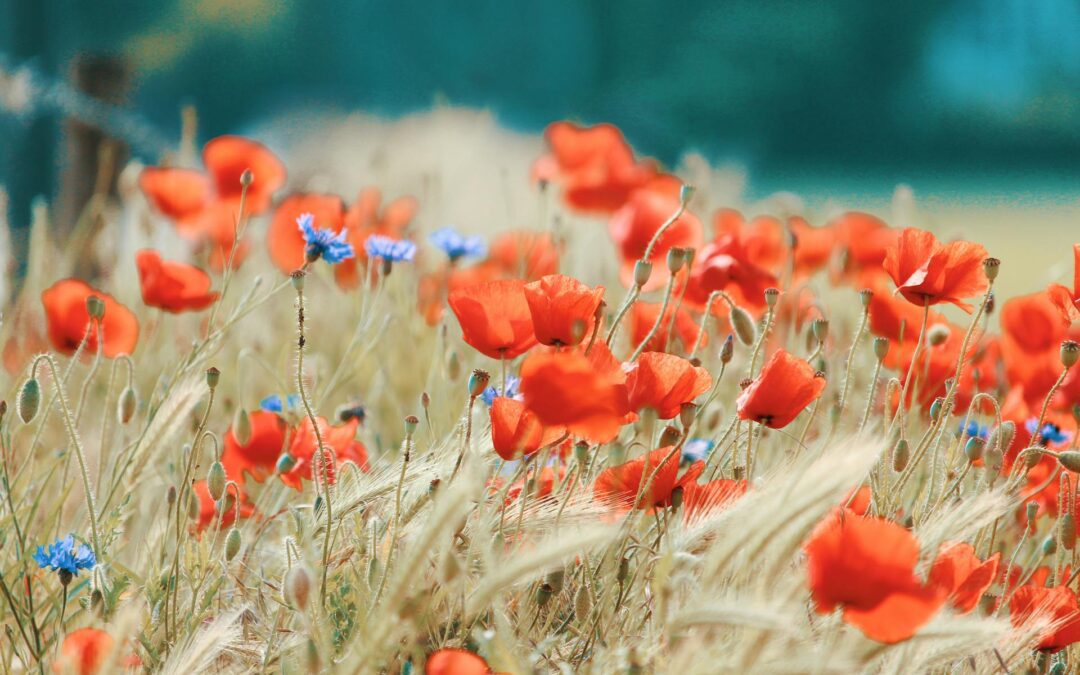 What Goes Into Owning and Selling Commercial Real Estate