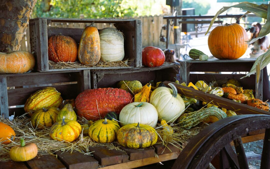 How to Choose the Right Legal Structure for Your Illinois Business