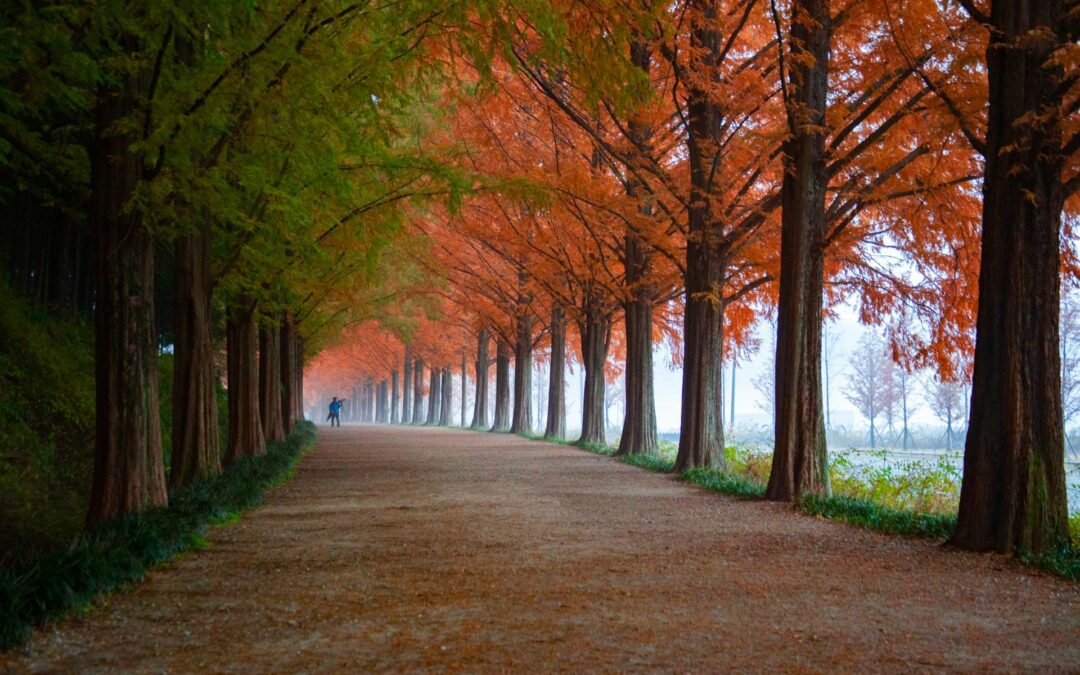 Tips for Communicating Effectively With Your Attorney