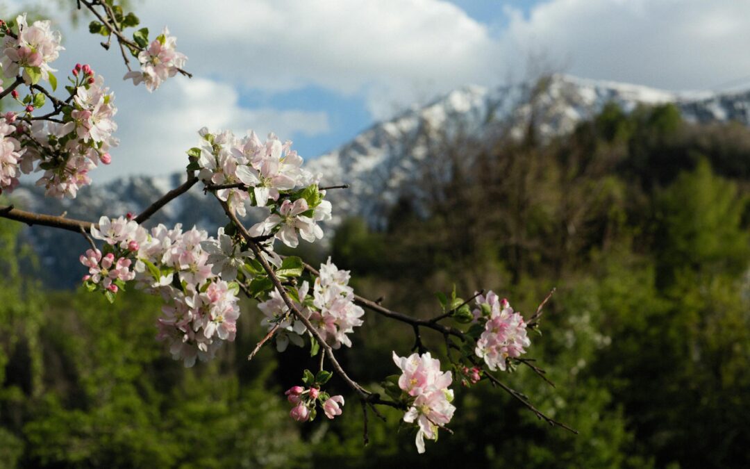 When Should You Hire a Business Attorney?