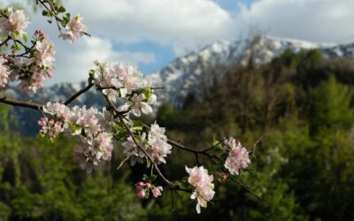 When Should You Hire a Business Attorney?