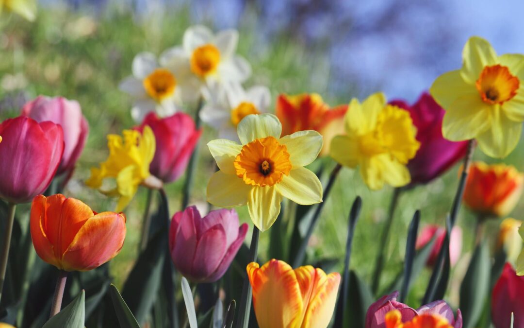 Common Real Estate Disputes and How to Avoid Them